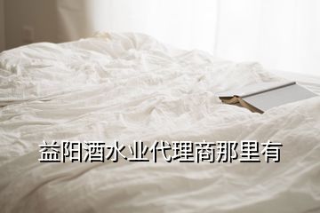 益阳酒水业代理商那里有