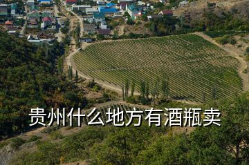 贵州什么地方有酒瓶卖