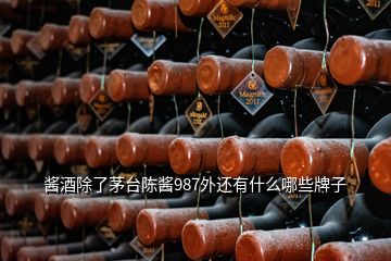 酱酒除了茅台陈酱987外还有什么哪些牌子