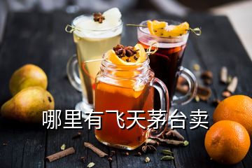 哪里有飞天茅台卖