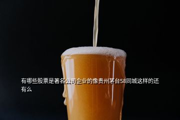 有哪些股票是著名公司企业的像贵州茅台58同城这样的还有么