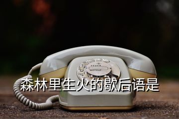 森林里生火的歇后语是