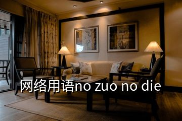 网络用语no zuo no die