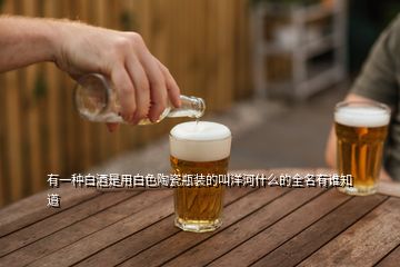 有一种白酒是用白色陶瓷瓶装的叫洋河什么的全名有谁知道