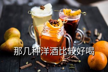 那几种洋酒比较好喝