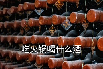 吃火锅喝什么酒