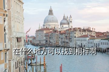 在什么地方可以找到桐梓啊