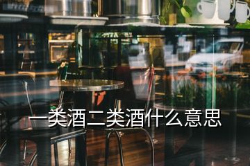 一类酒二类酒什么意思