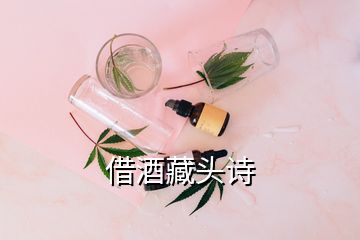 借酒藏头诗