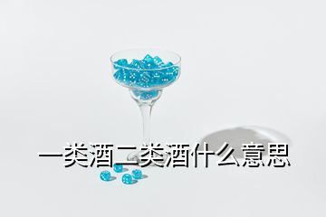 一类酒二类酒什么意思