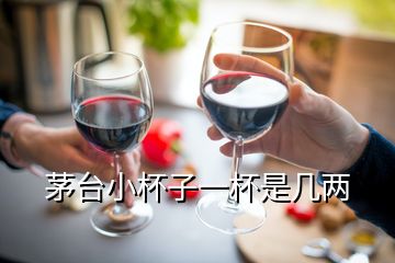 茅台小杯子一杯是几两