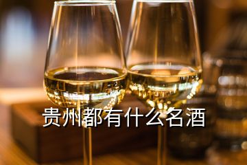 贵州都有什么名酒