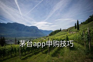 茅台app申购技巧