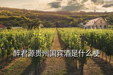 醉君源贵州国宾酒是什么梗