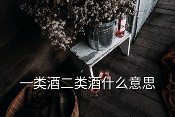 一类酒二类酒什么意思