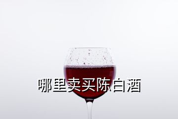 哪里卖买陈白酒