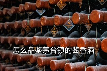 怎么品鉴茅台镇的酱香酒