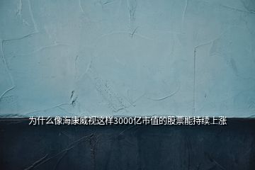 为什么像海康威视这样3000亿市值的股票能持续上涨