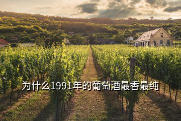 为什么1991年的葡萄酒最香最纯