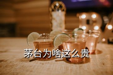 茅台为啥这么贵