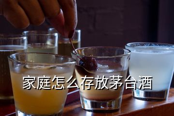 家庭怎么存放茅台酒