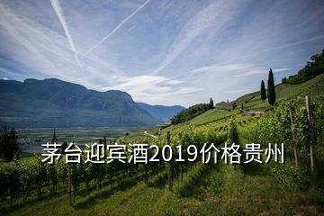 茅台迎宾酒2019价格贵州