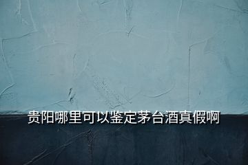 贵阳哪里可以鉴定茅台酒真假啊