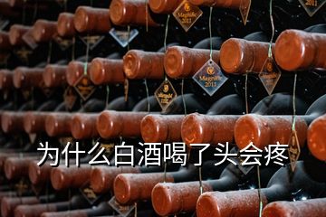 为什么白酒喝了头会疼