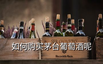 如何购买茅台葡萄酒呢