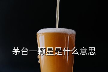 茅台一颗星是什么意思