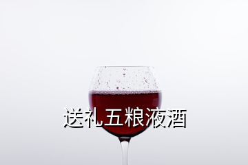 送礼五粮液酒