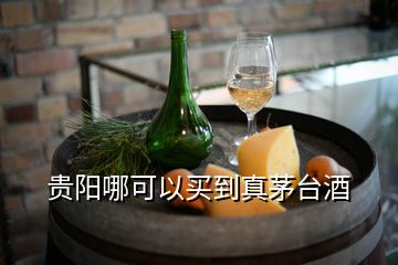 贵阳哪可以买到真茅台酒