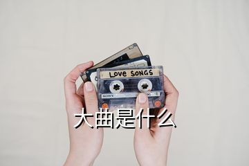 大曲是什么