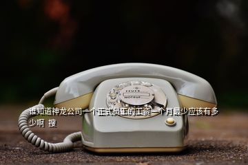 谁知道神龙公司一个正式员工的工资一个月最少应该有多少啊  搜