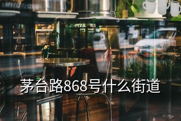 茅台路868号什么街道