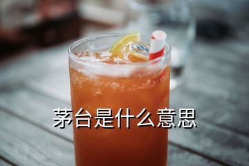 茅台是什么意思