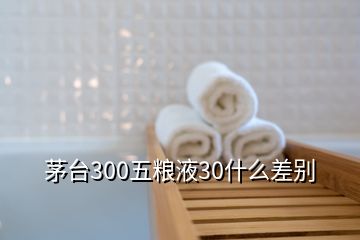 茅台300五粮液30什么差别