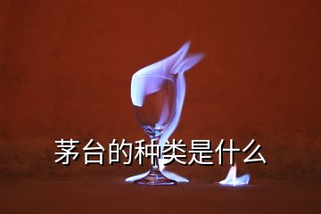 茅台的种类是什么