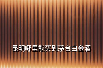 昆明哪里能买到茅台白金酒