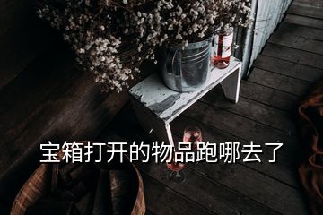 宝箱打开的物品跑哪去了