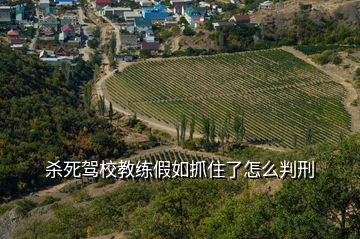 杀死驾校教练假如抓住了怎么判刑