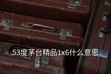 53度茅台精品1x6什么意思