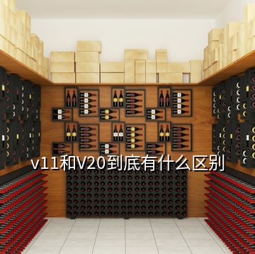 v11和V20到底有什么区别