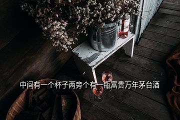 中间有一个杯子两旁个有一瓶富贵万年茅台酒