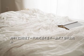 狗年门口出现了一只狗死活不走不一会死了有什么兆头