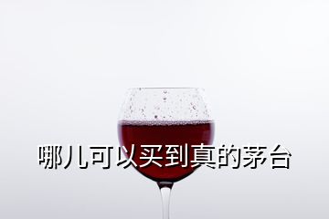 哪儿可以买到真的茅台