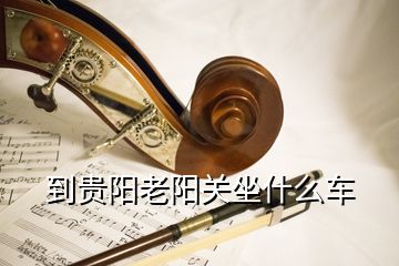 到贵阳老阳关坐什么车