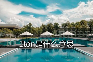 1ton是什么意思