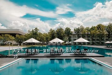 AI文件不能复制一复制软件就死掉Adobe Illustrator 10