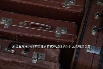 茅台五粮液泸州老窖贱男春这些品牌酒为什么卖得那么贵呢